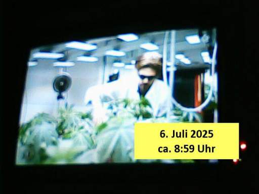 202507060859-0-1.jpg